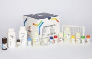 Calprotectin ELISA Kit