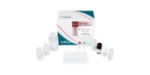 Scrub Typhus Detect™ IgM ELISA