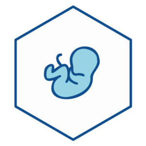 CMV IgG – ELISA
